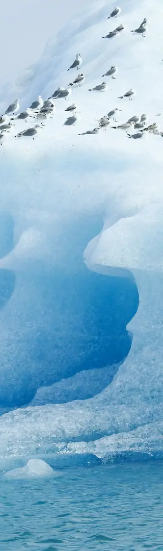 Eiskalte Traumlandschaft